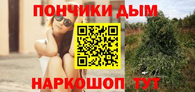сатива Кудрово
