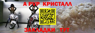 стаф Кудымкар